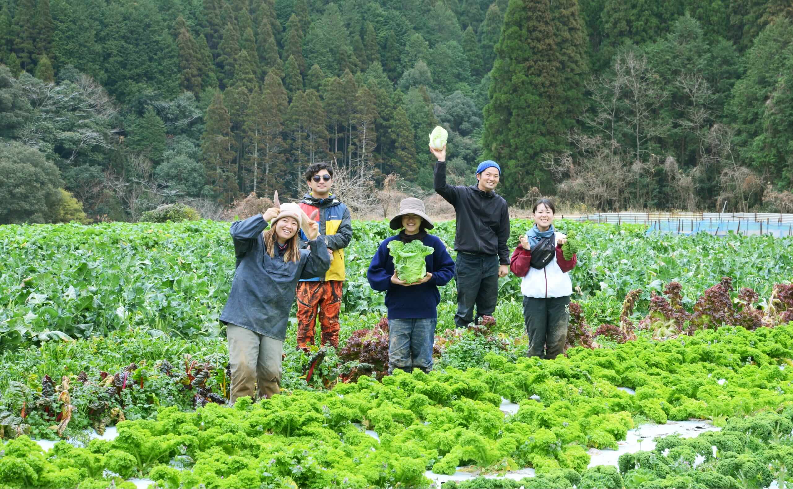 野菜をお世話するスタッフ