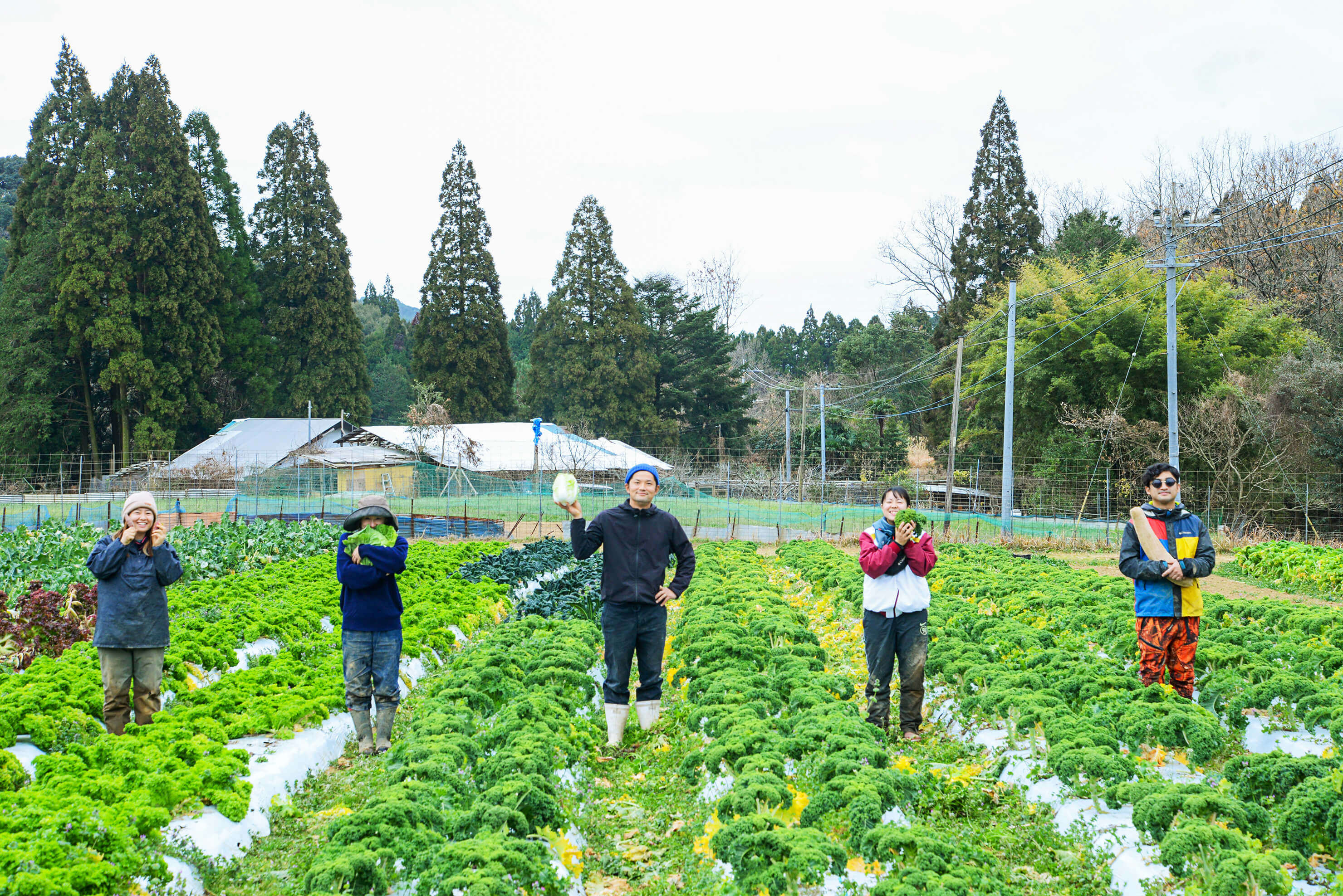 オンライン野菜作り定期便コース