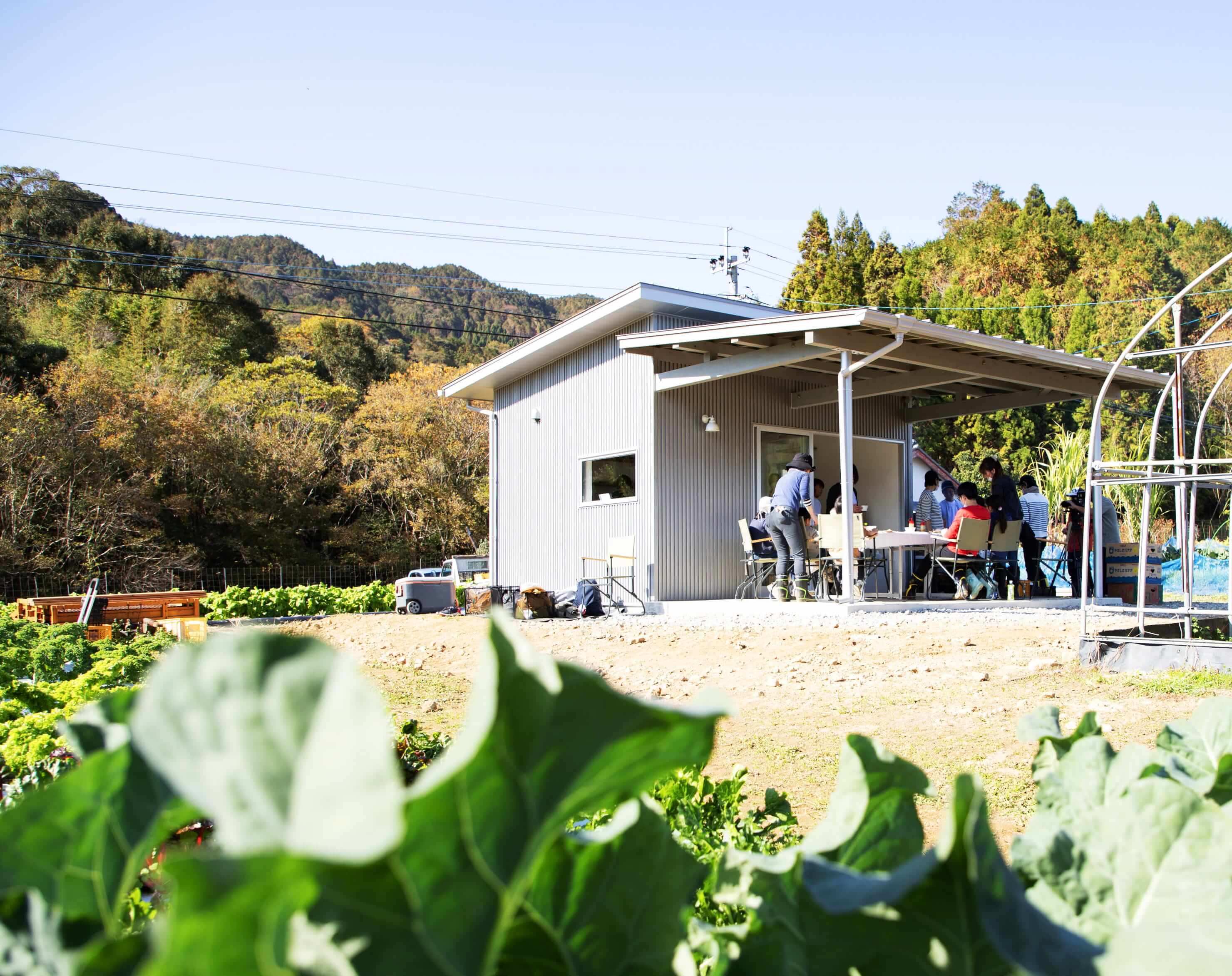 ひなベジFarmリアル体験